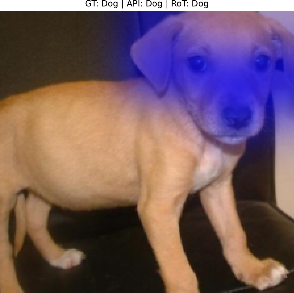 RoT explanation for GPT-4o-mini classification label ‘Dog’